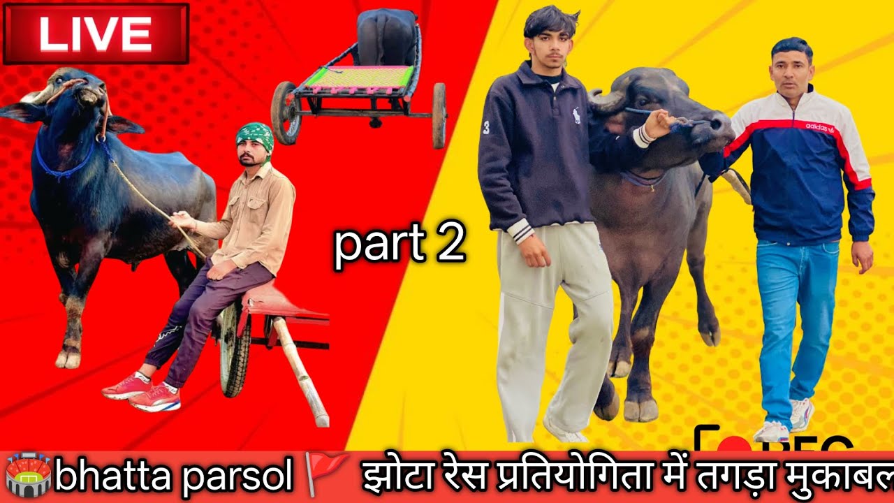 💁Part 2 भट्टा झोटा रेस प्रतियोगिता 🫵 एक su एक समान 😲