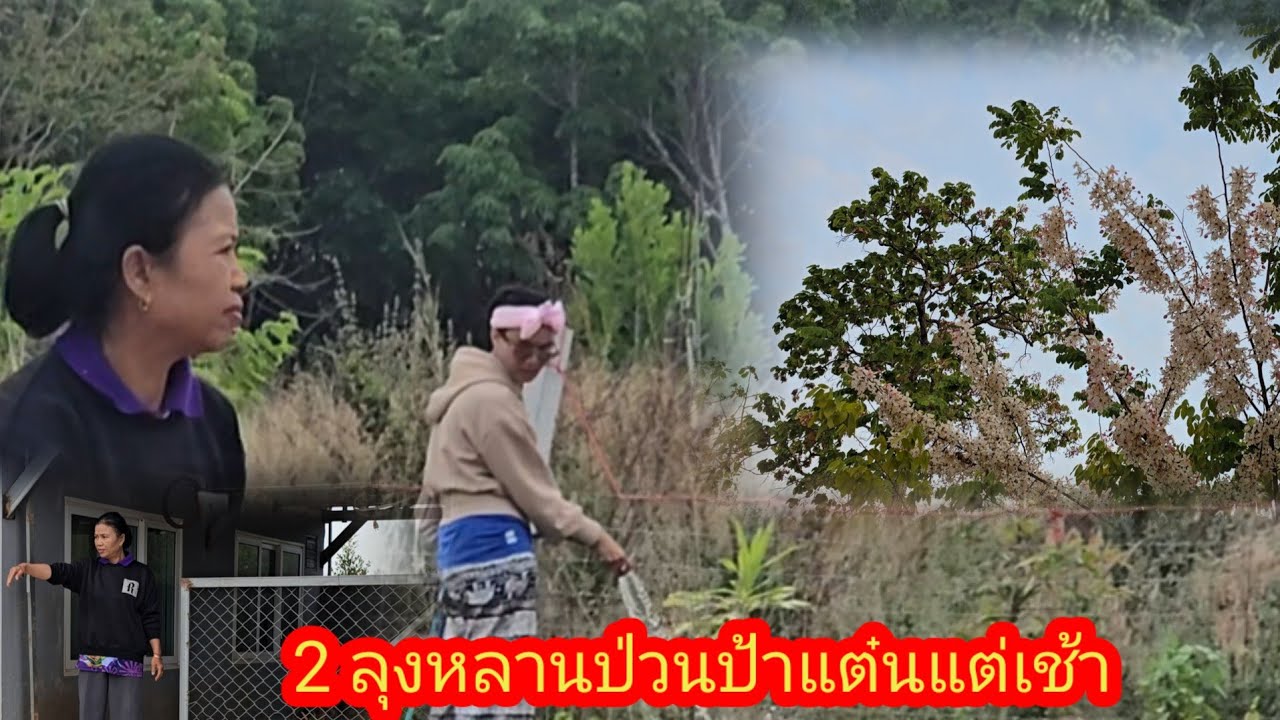 2 ลุงหลานจอมป่วนกวนป้าแต๋นแต่เช้า​#ป้าแต๋นชาเเนล 