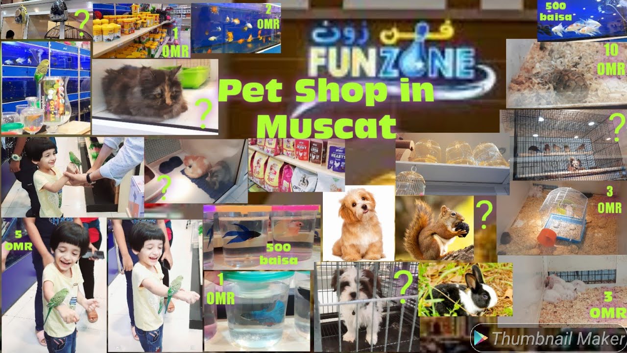 Pet Shop in Muscat | Bird's 🐦 Parrot 🦜 Cat 🐈 Dog 🐕 Fish 🐟 ♥ | FunZone