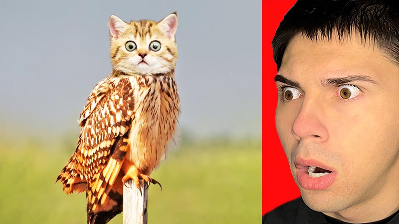 Αληθινό  Ή Photoshop?