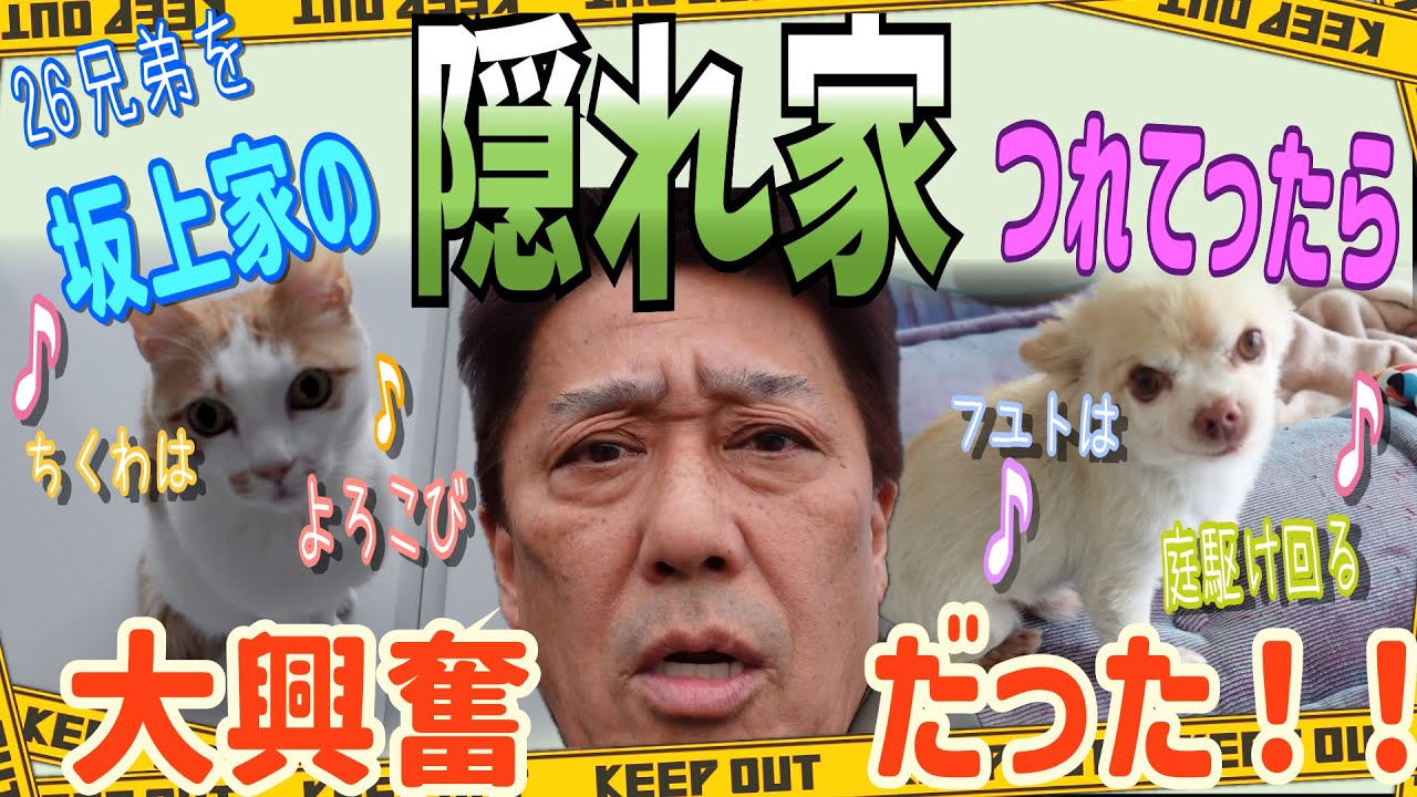 【秘密の家】坂上家の26兄弟隠れ家大騒動！朝の活気、夜の熱気！！