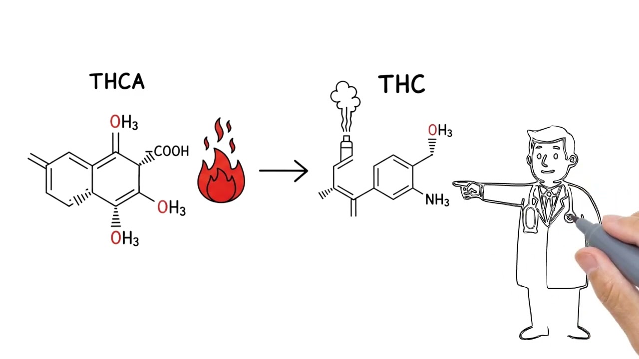 THC vs THCA: What&rsquo;s the Real Difference?