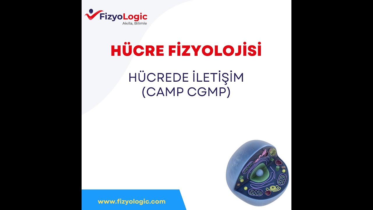 Fizyologic Hücre Fizyolojisi / Hücrede İletişim (cAMP   cGMP)