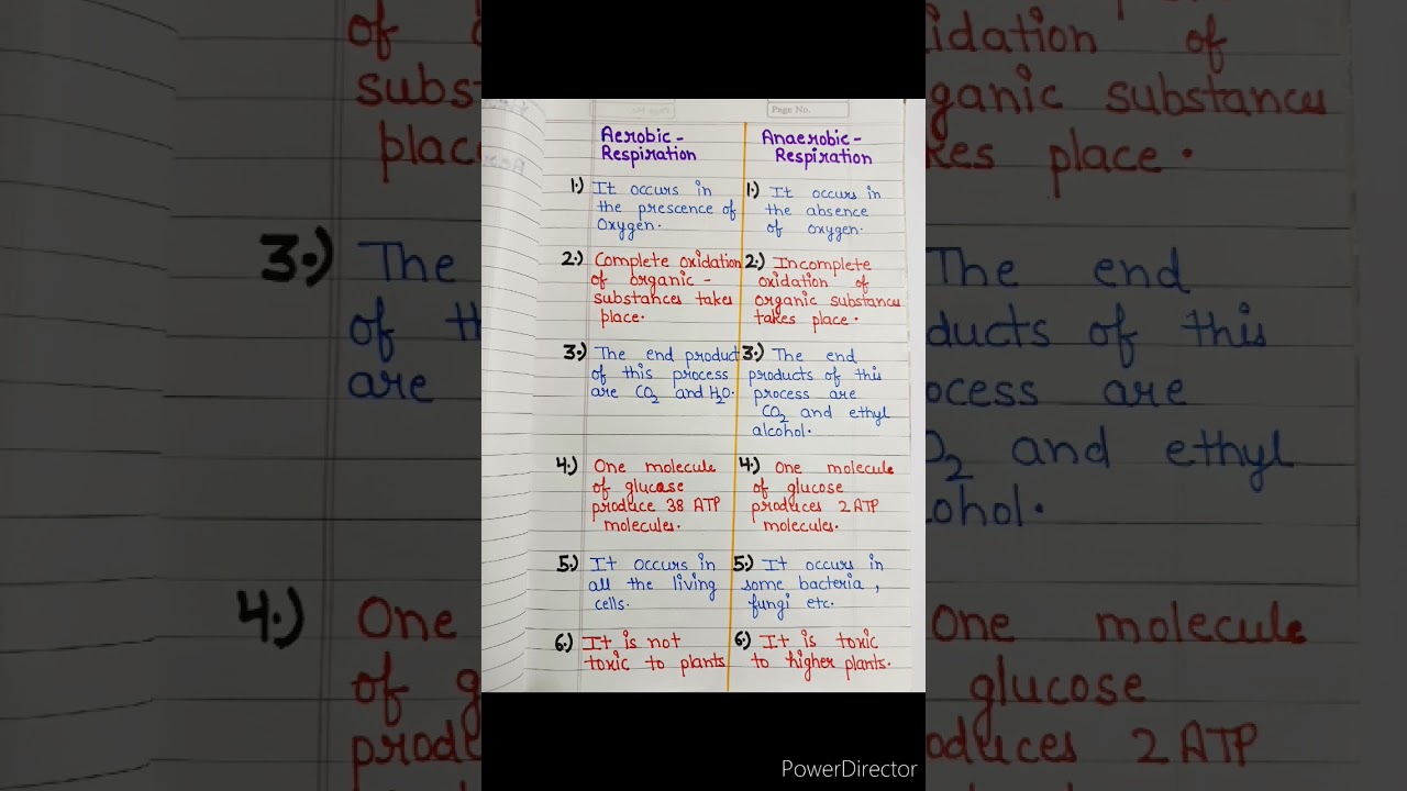 Difference between aerobic and anaerobic respiration | aerobic respiration | anaerobic respiration
