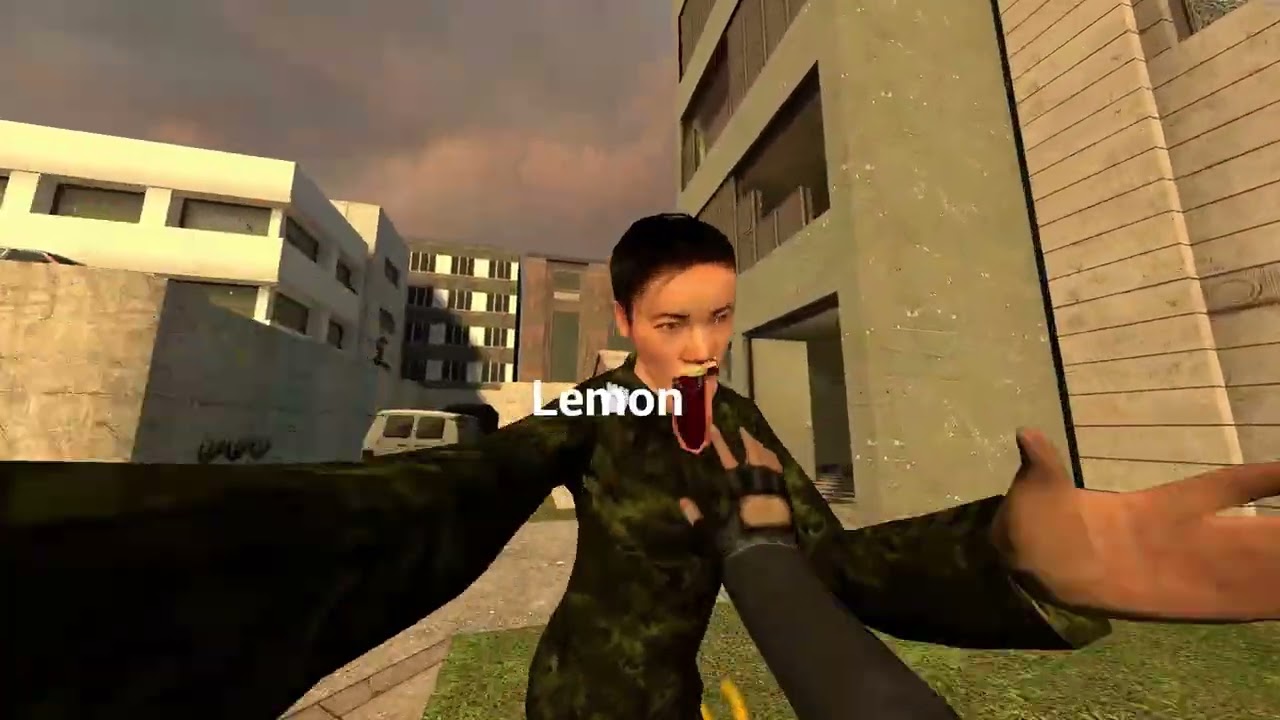 Homigrad Bullshittery №2