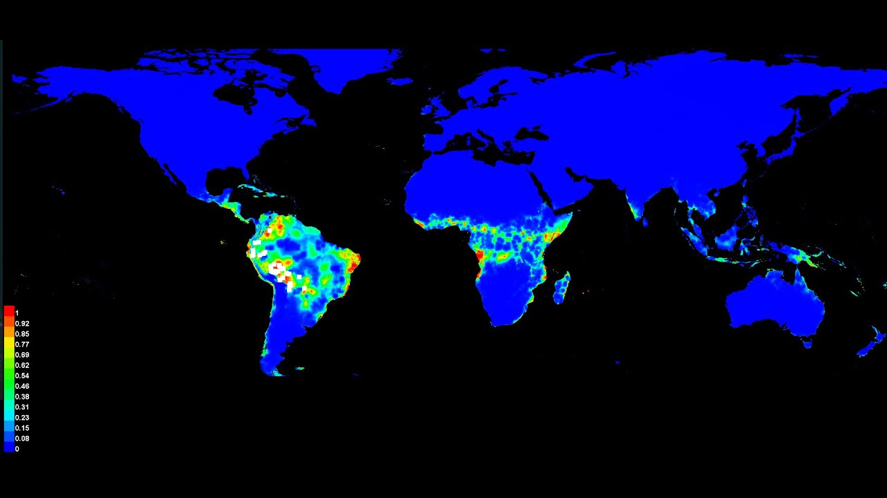 Maxent Species Distribution Model (SDM) Tutorial - with applications in GIS