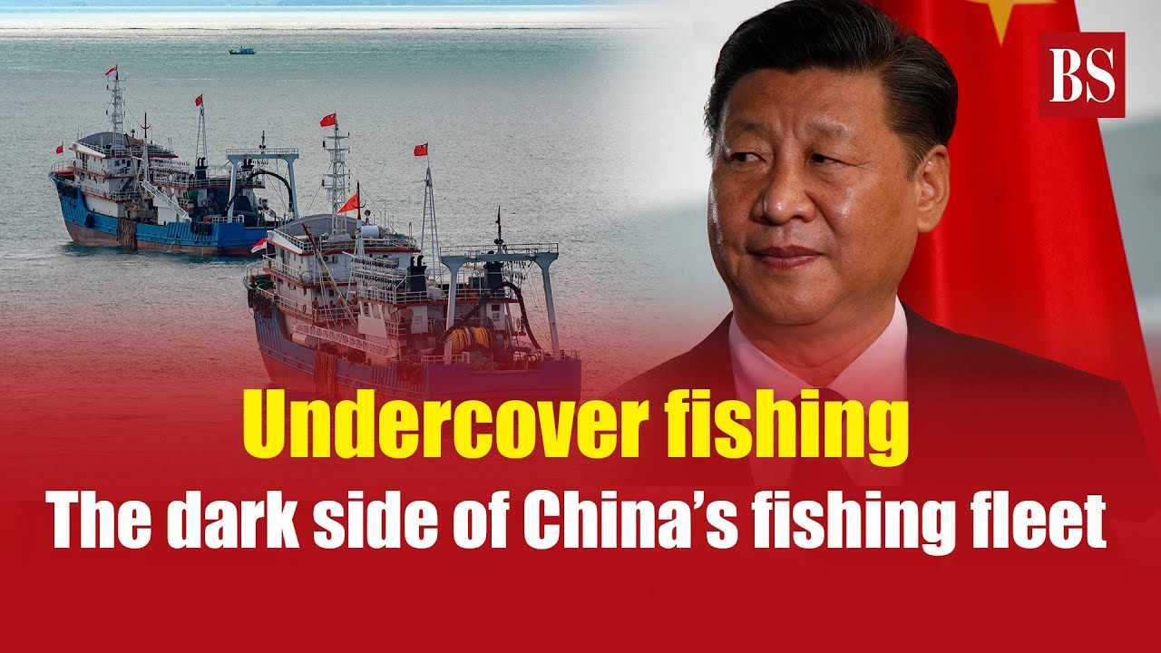 The hidden war at sea: China’s illegal fishing explained | Environmental & geopolitical fallout
