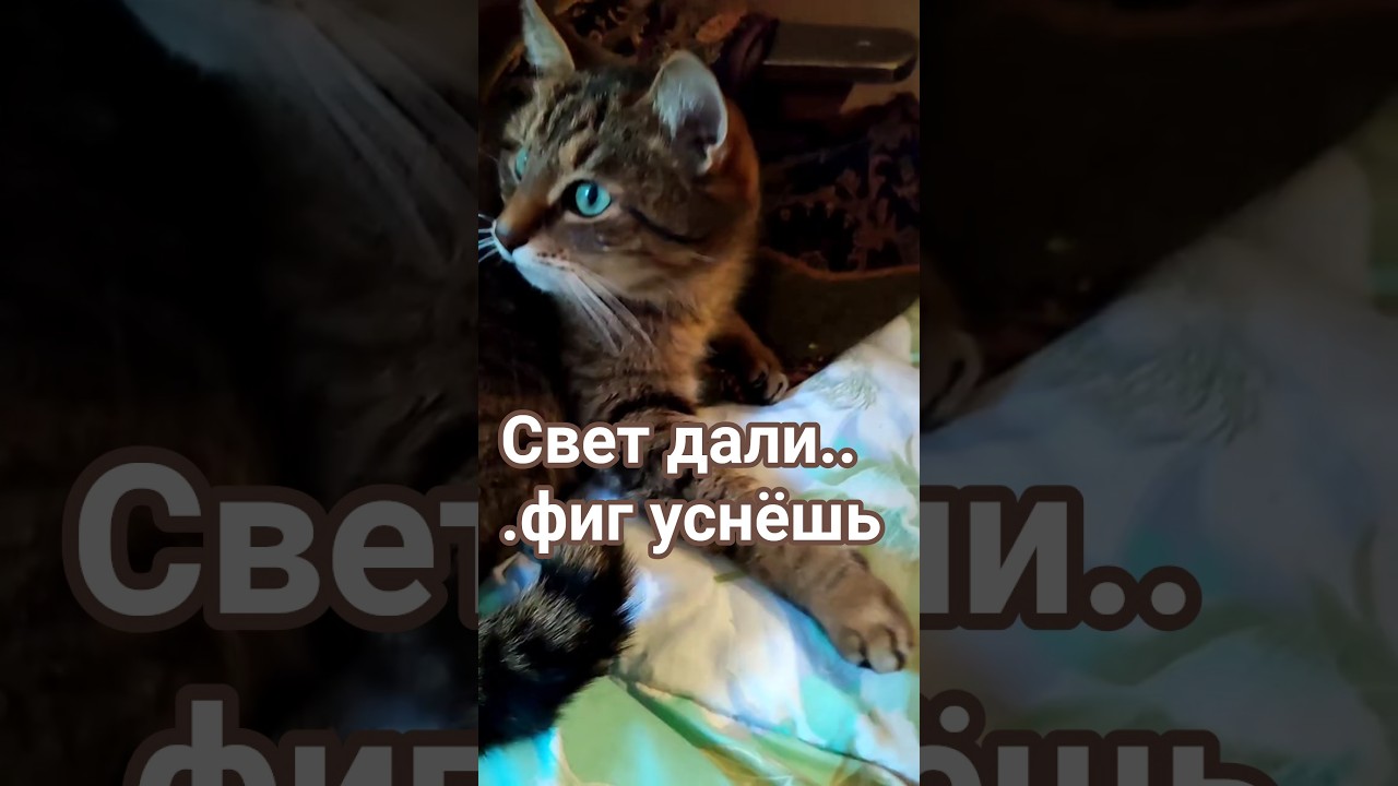 Счас,каак усну 