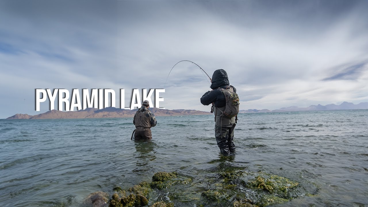 Fly Fishing Pyramid Lake: Land of the Giant Lahontan Cutthroat Trout!