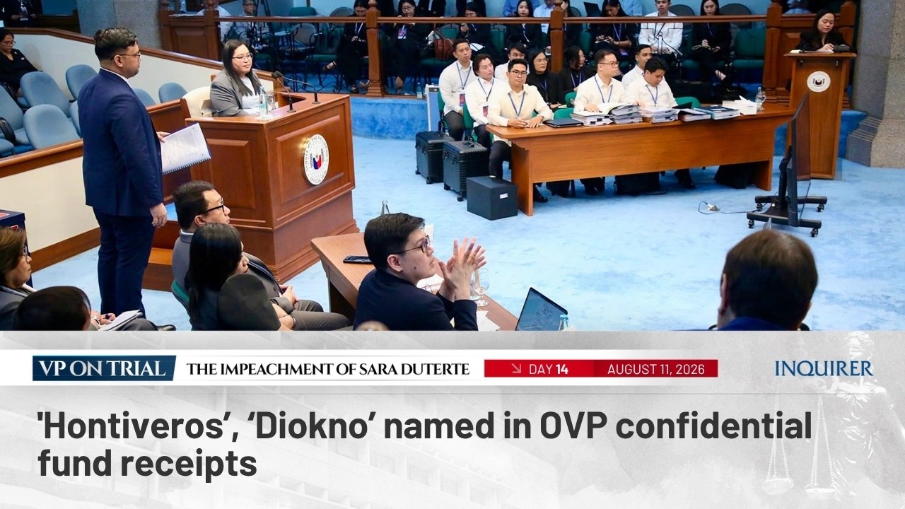 'Hontiveros&rsquo;, &lsquo;Diokno&rsquo; named in OVP confidential fund receipts