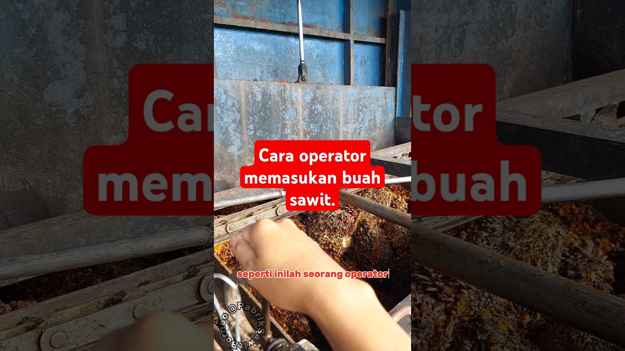operator pabrik kelapa sawit. 