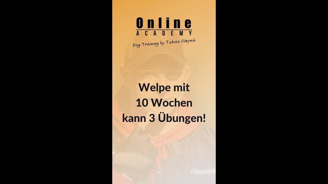 Der kleine Aragon....