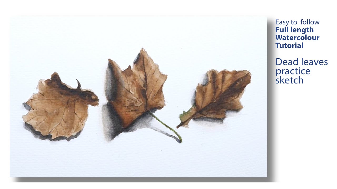 Watercolour sketch - Dead leaves,  practice piece with just a few colours - Full demonstration