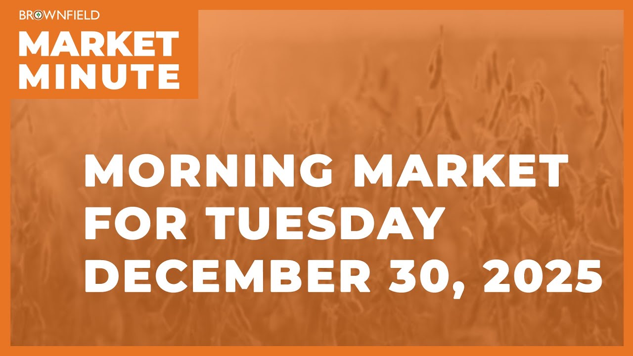 Цены на сою за ночь немного выросли | Утренний обзор рынка