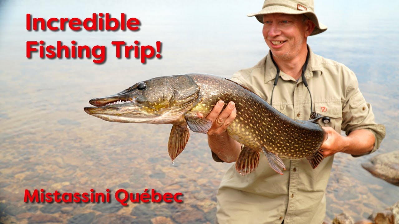 Incredible Fishing on Mistassini Lake