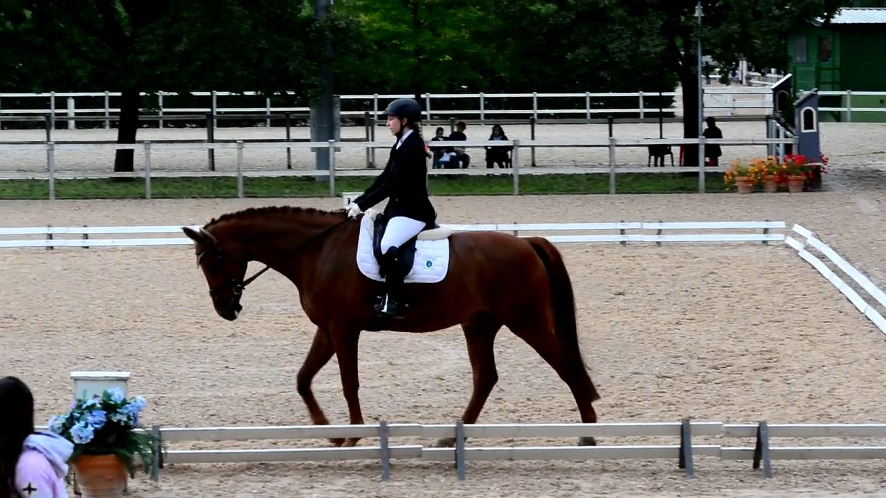 Campionati Regionali Dressage 2016 - 2° giornata