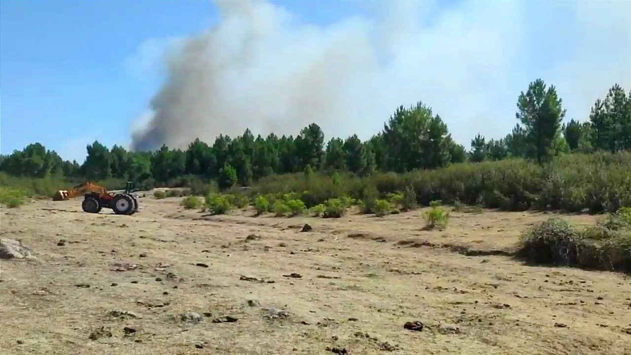 Mi familia y yo intentando salvar a las vacas de mi tío del incendio, esto es un sinvivir