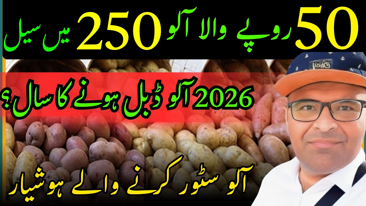 Potato Export Business update 2026 |Potato latest prices in Gulf countries #aneesvoice