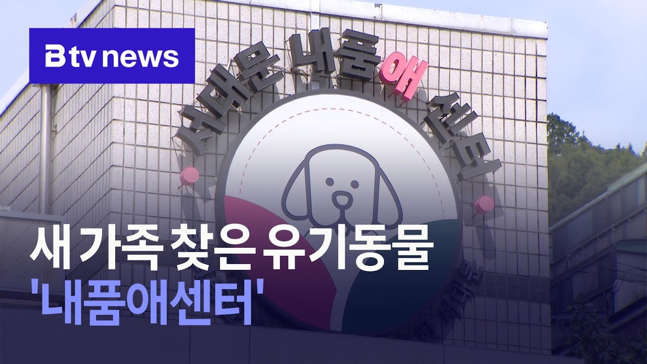 새 가족 찾은 유기동물… '내품애센터'