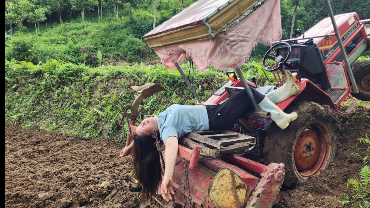 highland begins to harvest rice the girl driving the tiller again resumed her favorite work