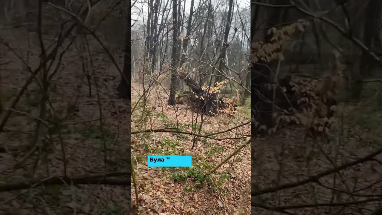 Чого пішла?