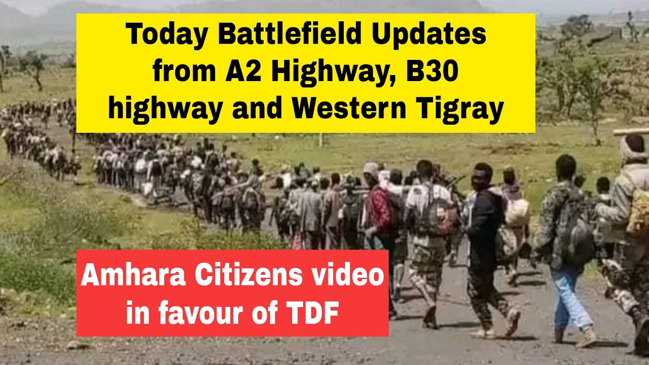 TDF & ENDF Battlefield updates from all fronts
