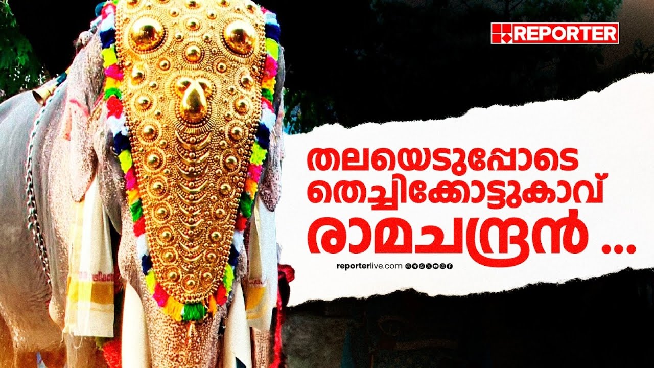 ഇതാ രാമന്‍....ആരാധകര്‍ കാത്തിരുന്ന നിമിഷം| Thechikkottukavu Ramachandran| Thrissur Pooram
