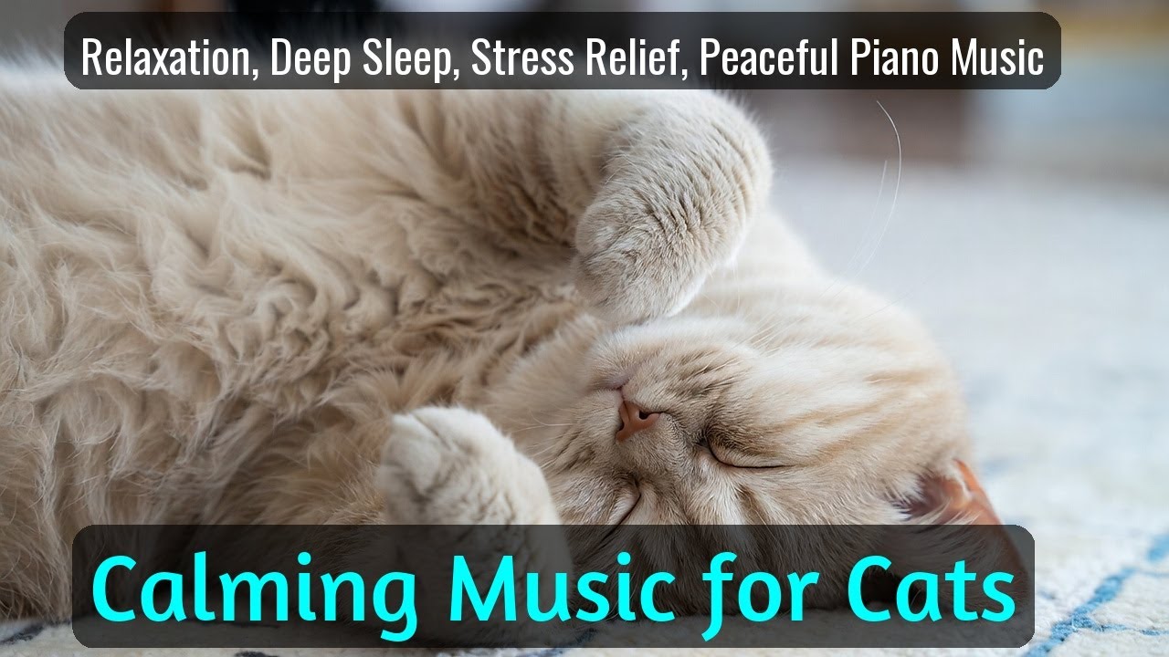 Calming Music for Cats - Relaxation, Deep Sleep, Stress Relief, Peaceful Piano Music | Season 86