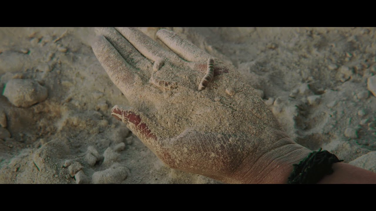 PKU FILM   Protein Kills Us (EN)