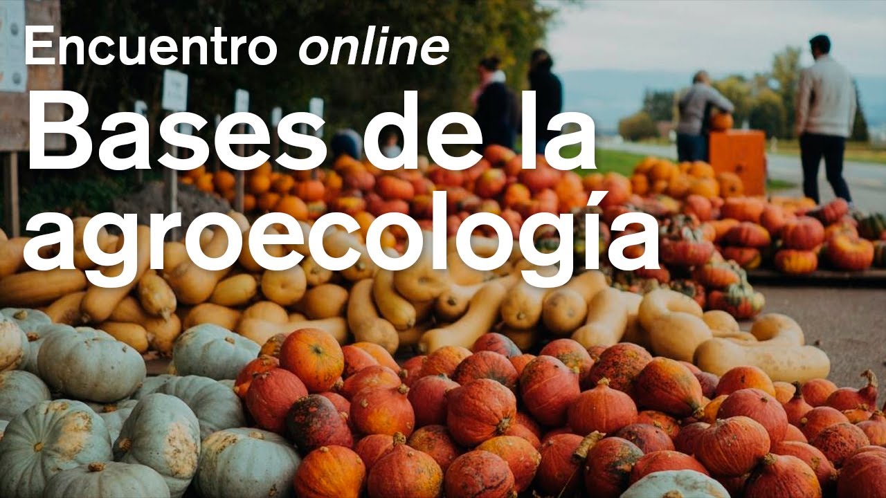 Bases agroecológicas, Masterclass con Miguel A. Altieri