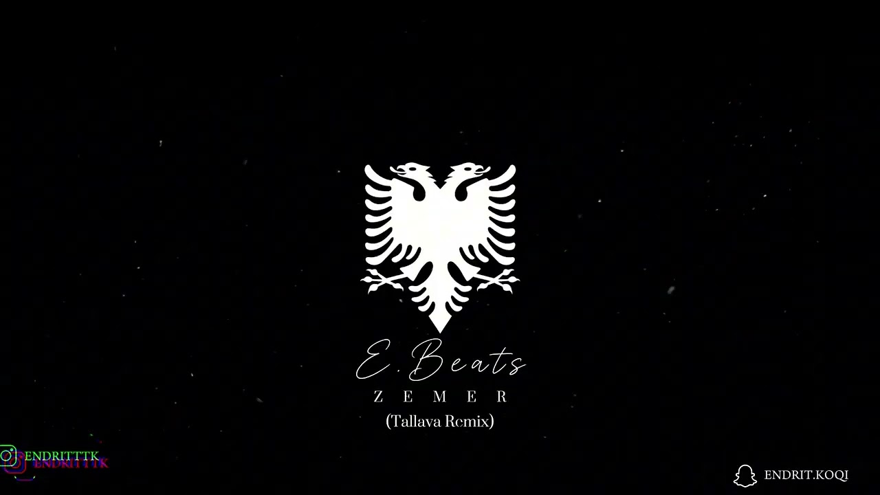 Endritbeats x Dafina x Ricky Rich - ZEMER (Tallava Remix) 🔥