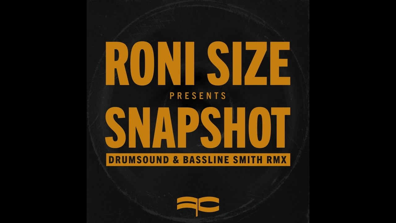 Roni Size - Snapshot (Drumsound & Bassline Smith Remix)