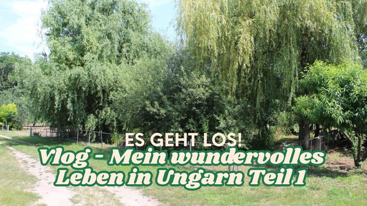 Ungarn Vlog Nr 1 - Werde Teil meiner wundervollen Reise in Ungarn! #auswandern