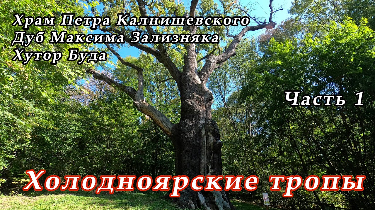 Холодноярские тропы. Пробираемся ночью через густой лес. Холодний яр. Часть 1