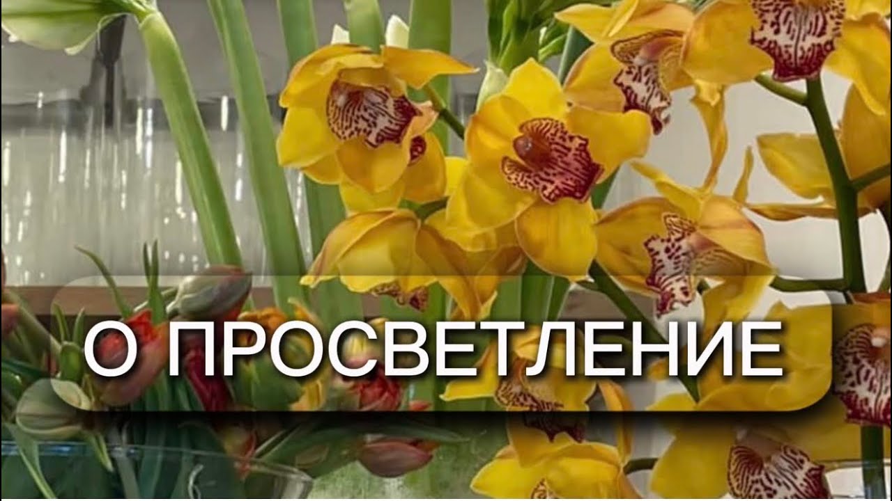 Просветление… ты уже там