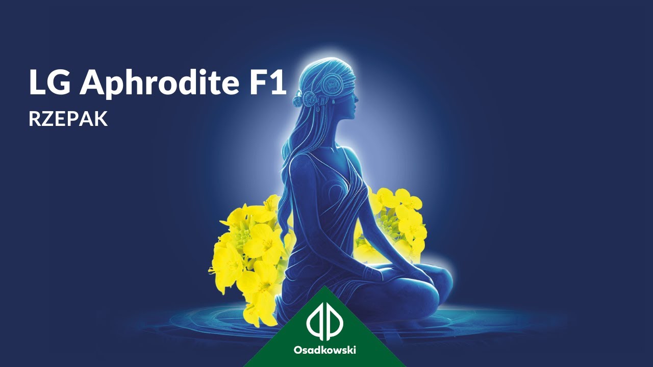 Rzepak LG Aphrodite F1 - Pożądana odmiana