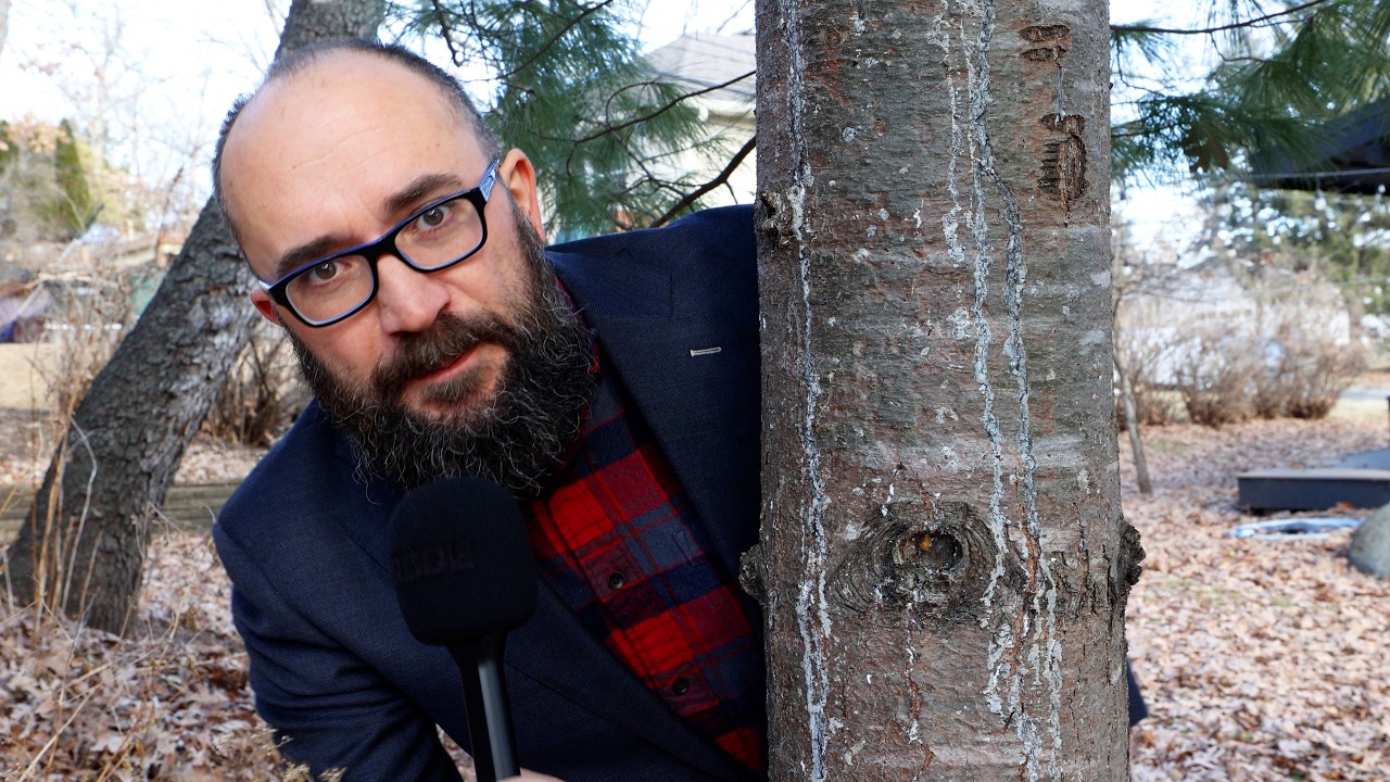 TODAY THINGS #1 | Former Prince Andrew Arrested | Reese vs Hershey | Bloodiest Roman Battle Ever!