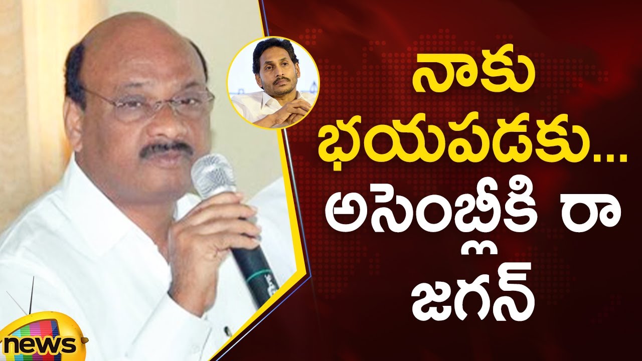 Chintakayala Ayyanna Patrudu Satirical Comments On YS Jagan | TDP vs YCP | AP News | Mango News