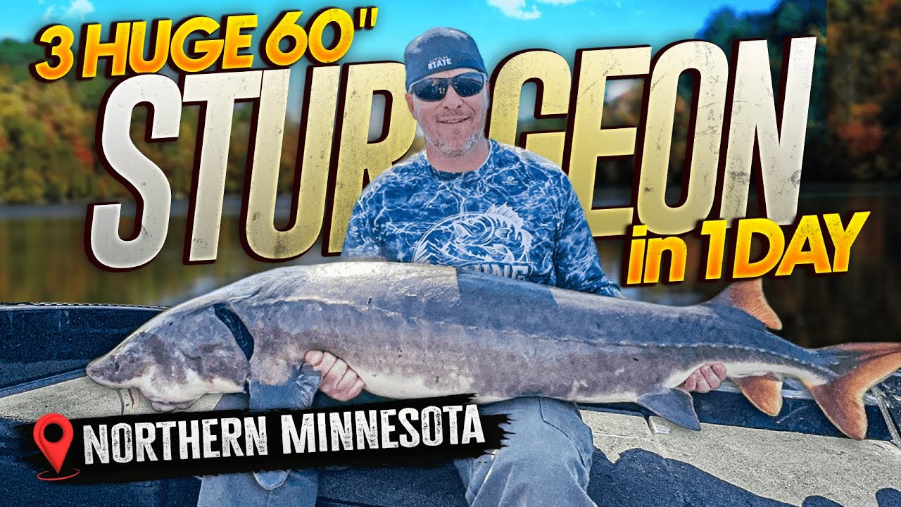 Catching Big Sturgeon on Minnesota’s Rainy River | A Fishing Adventure
