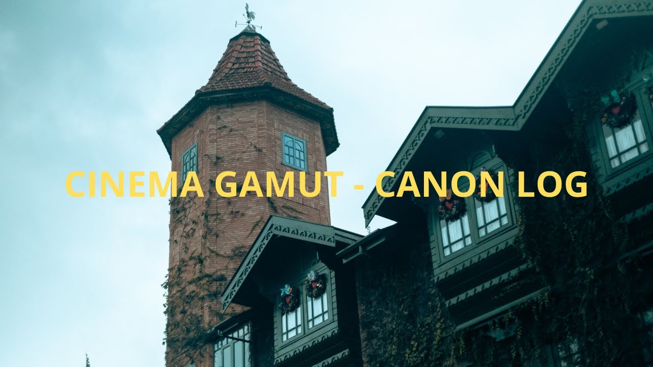 CANON LOG CINEMA GAMUT - CANON R8