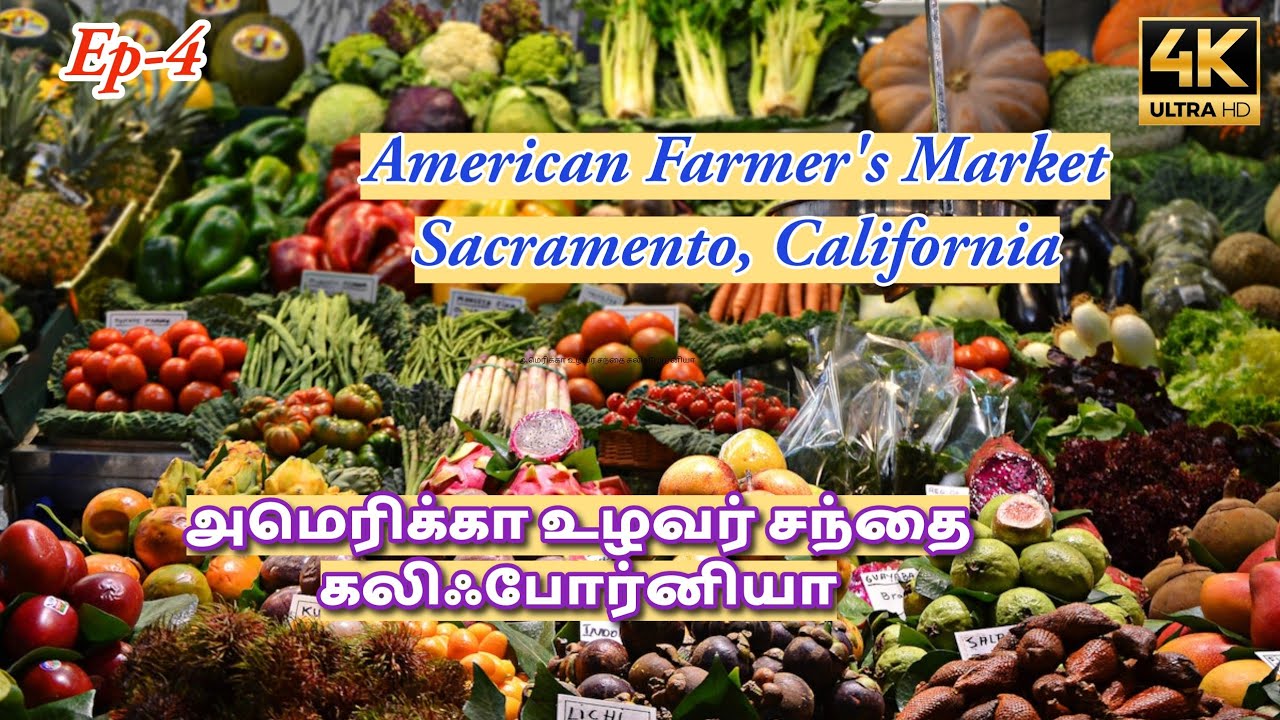  அமெரிக்கா உழவர் சந்தை, கலிஃபோர்னியா |American Farmer's Market #tamil #food #travel #americatamil 