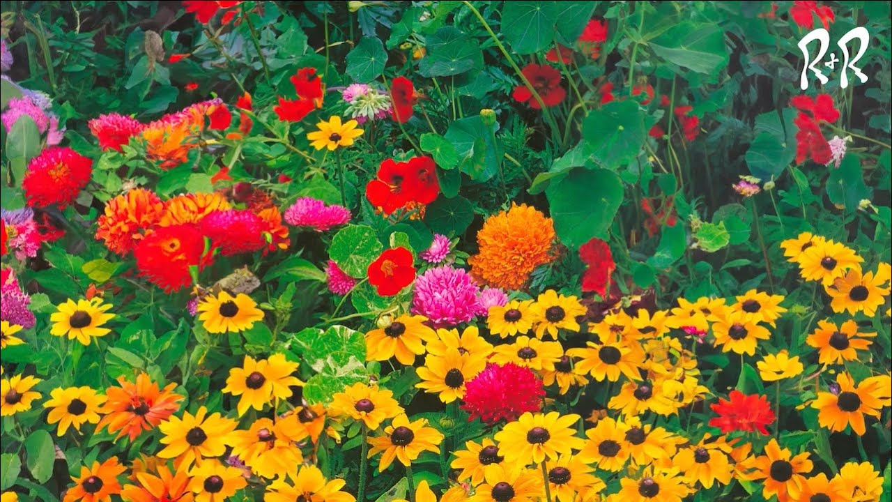 Huerta - TV Slang LP (Full Album & Visual)