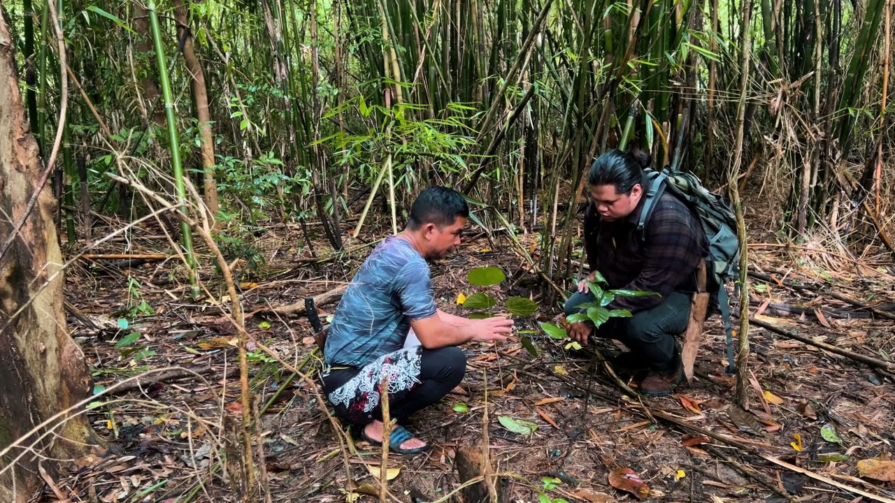72 HOUR Jungle Survival Training Course in the Philippines