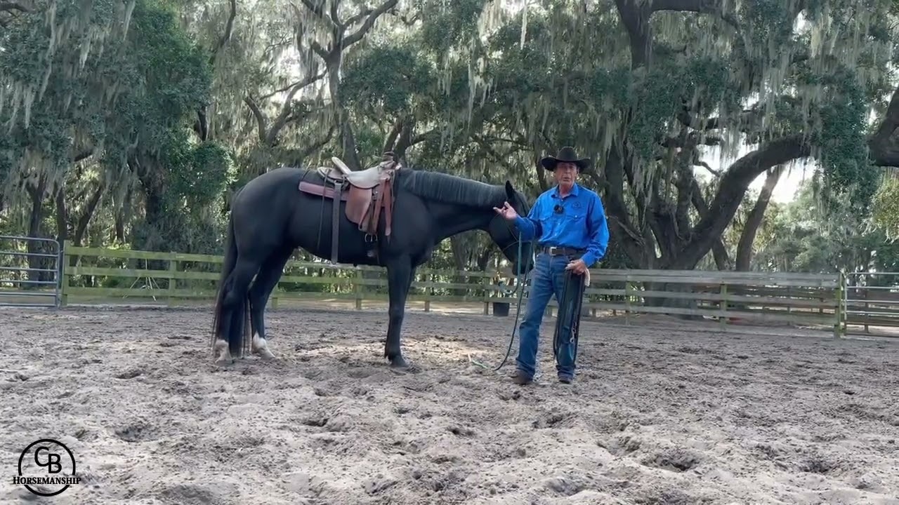 Laying A Horse Down