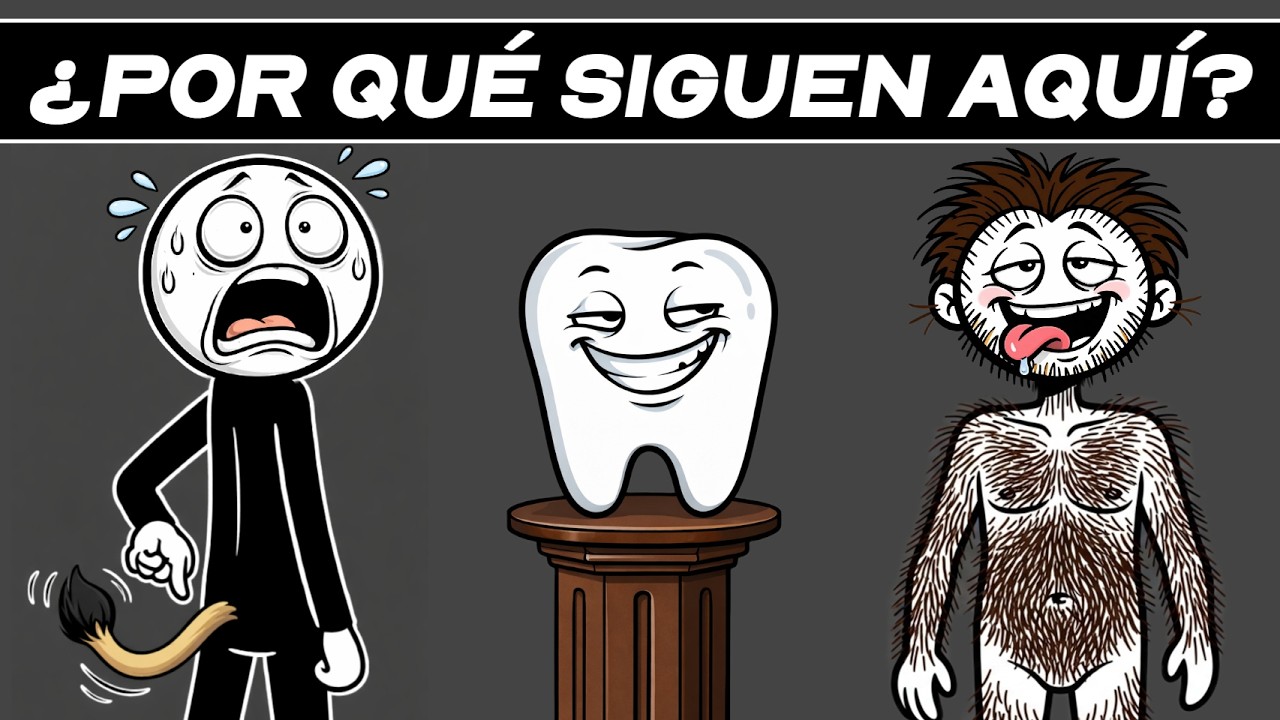 Partes del cuerpo que aún tienes sin motivo alguno