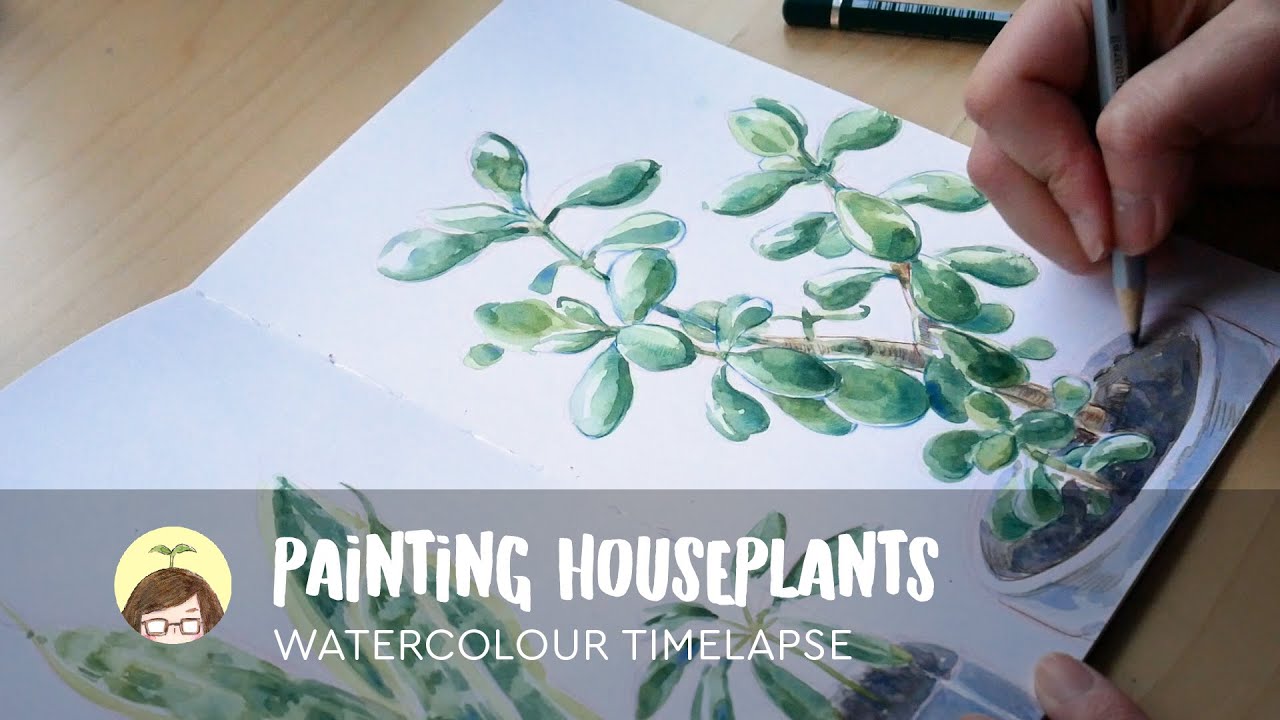 Painting Houseplants: Watercolor Painting Timelapse