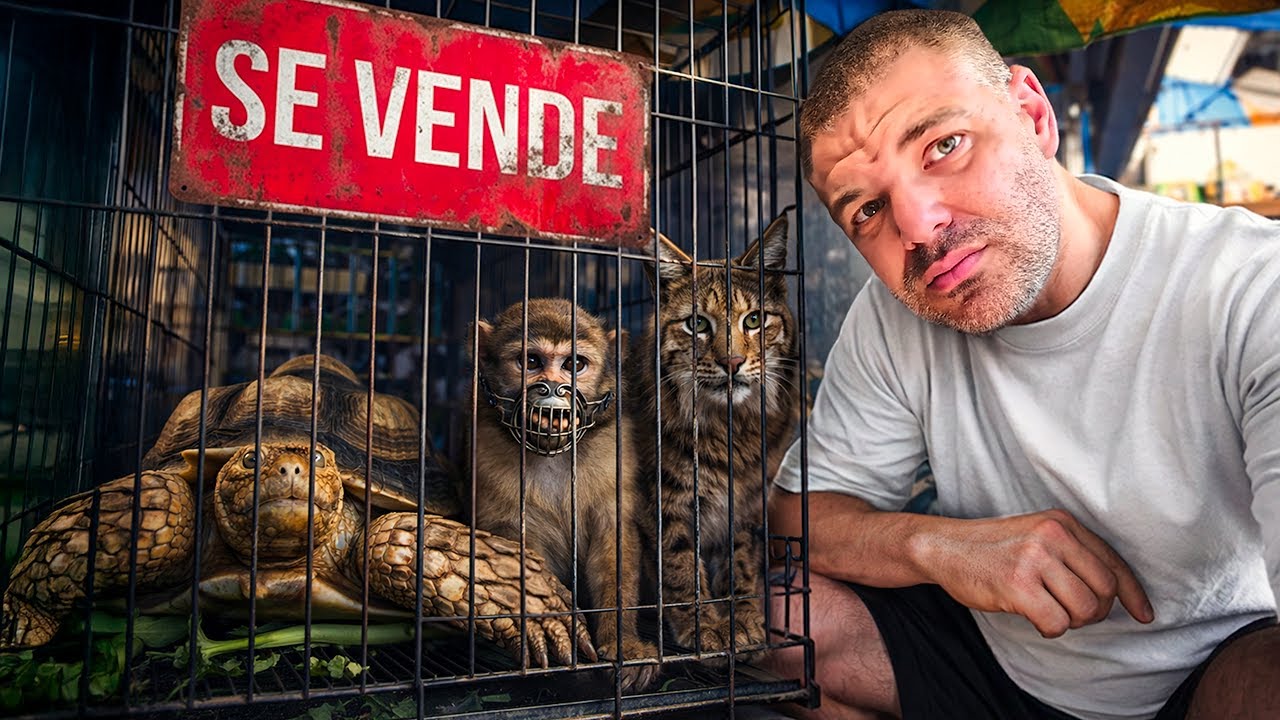 Me infiltré en el POLÉMICO MERCADO de ANIMALES en TAILANDIA (Prohibido grabar)