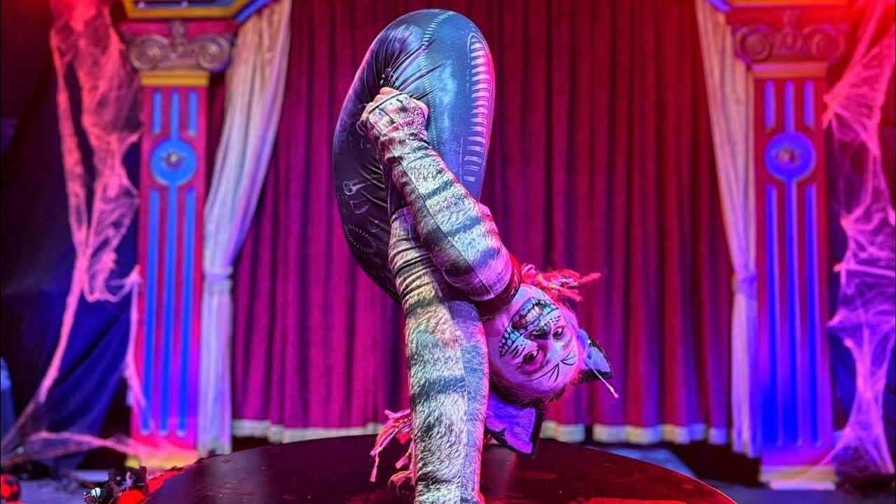 Contortion "Cheshire cat" 2025 Halloween notte