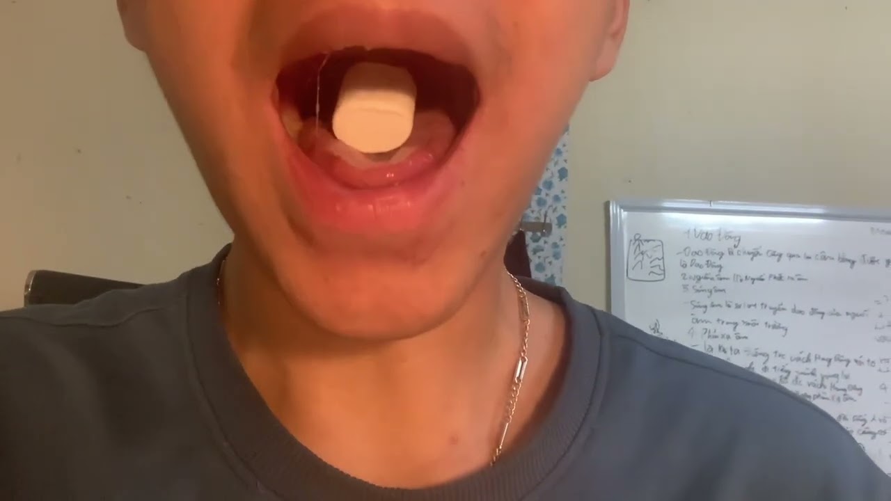 Marshmallow swallow p96