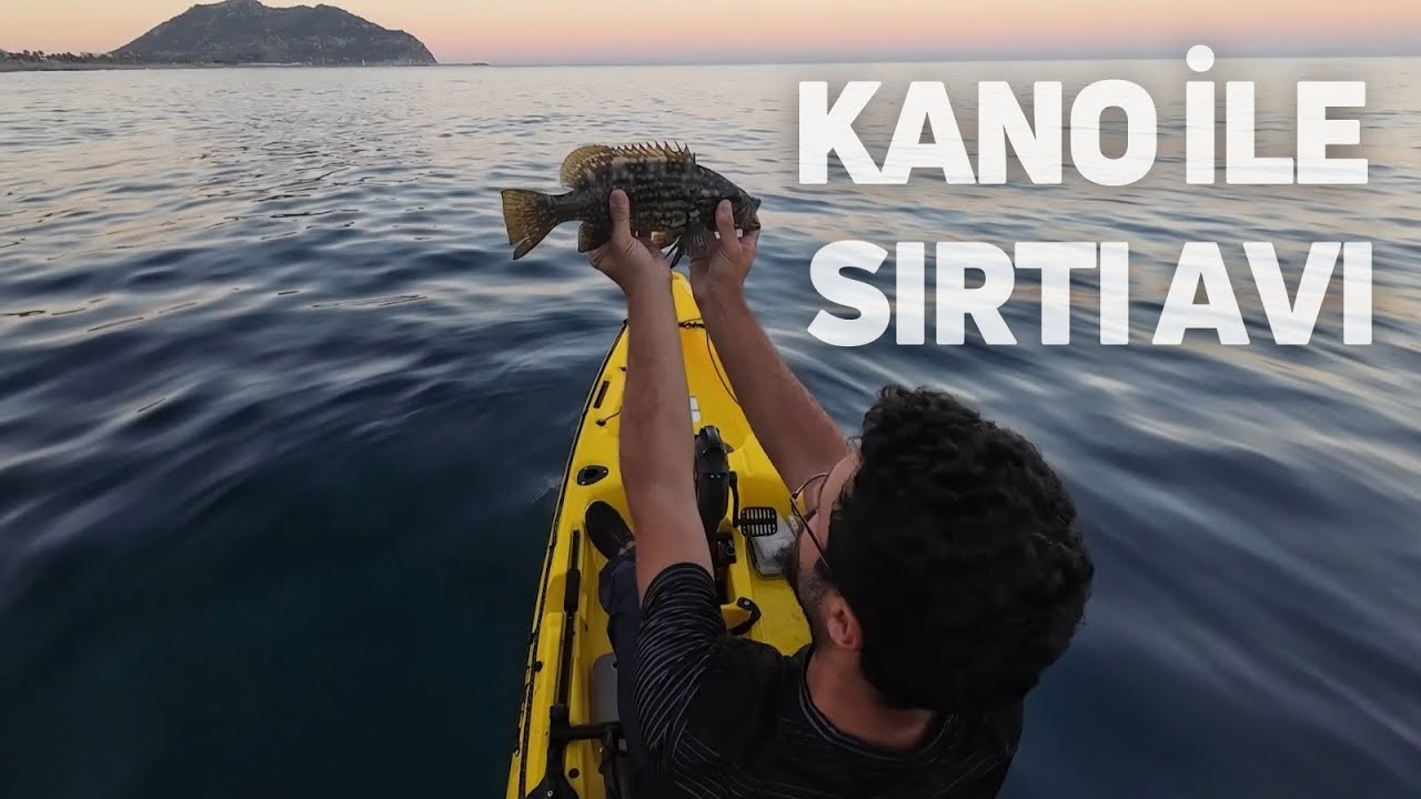 SIRTI AVINDA ÇOK GÜZEL BALIK ALDIM! | Seaflo Mako 12 Balık Avı